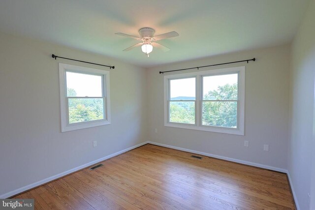 29 Antique Ln, Sperryville, VA 22740 - photo 26
