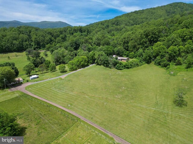 29 Antique Ln, Sperryville, VA 22740 - photo 11