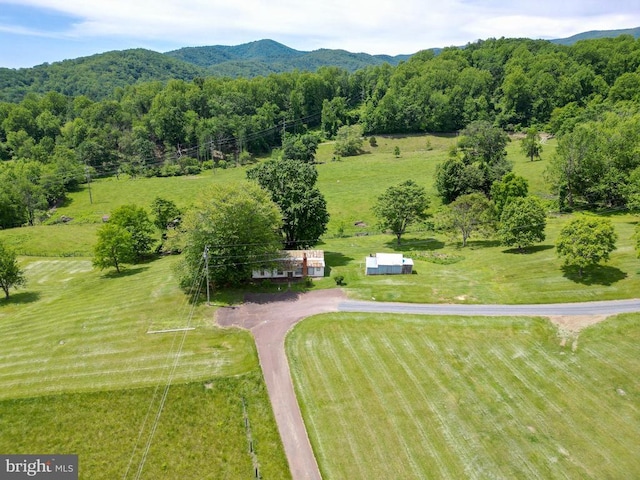 29 Antique Ln, Sperryville, VA 22740 - photo 10