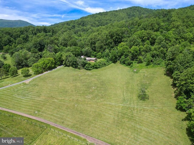 29 Antique Ln, Sperryville, VA 22740 - photo 45
