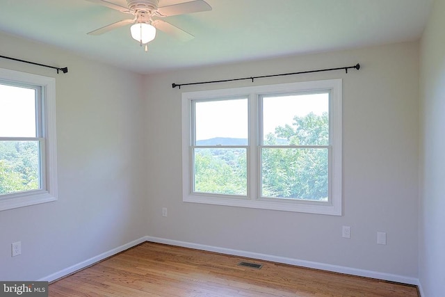 29 Antique Ln, Sperryville, VA 22740 - photo 27