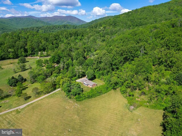 29 Antique Ln, Sperryville, VA 22740 - photo 44