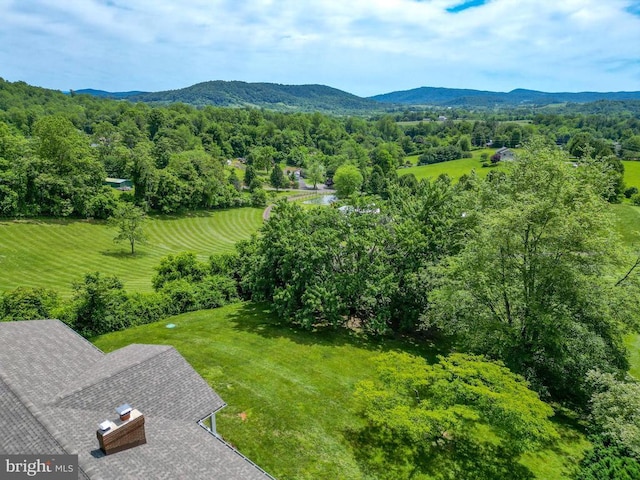 29 Antique Ln, Sperryville, VA 22740 - photo 7