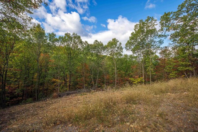 LOT14 Wildwood Ln, Shenandoah, VA 22849 - photo 9