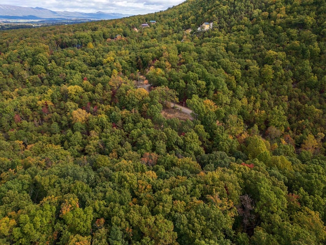 LOT14 Wildwood Ln, Shenandoah, VA 22849 - photo 5