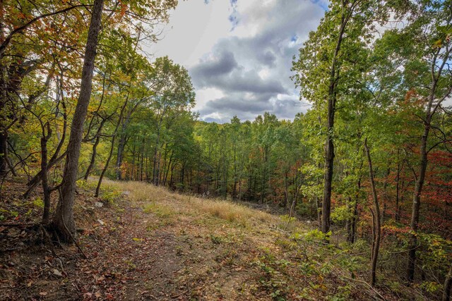 LOT14 Wildwood Ln, Shenandoah, VA 22849 - photo 10
