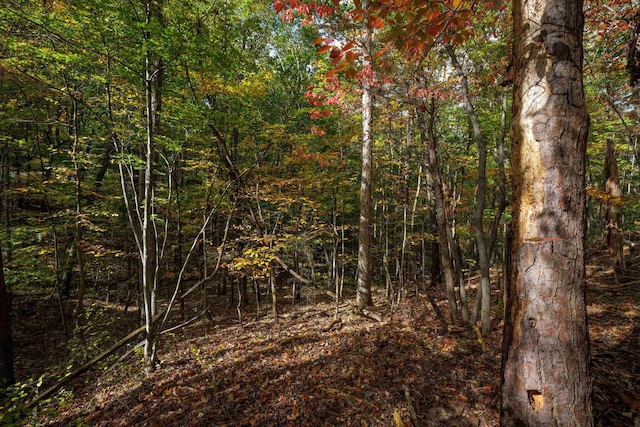 LOT14 Wildwood Ln, Shenandoah, VA 22849 - photo 14