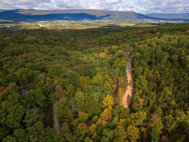 LOT14 Wildwood Ln, Shenandoah, VA 22849 - photo 3