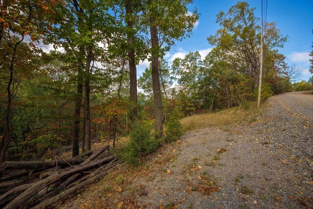 LOT14 Wildwood Ln, Shenandoah, VA 22849 - photo 8