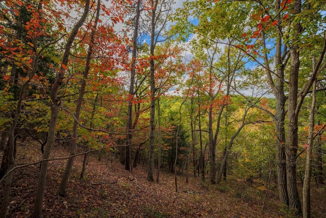 LOT14 Wildwood Ln, Shenandoah, VA 22849 - photo 13