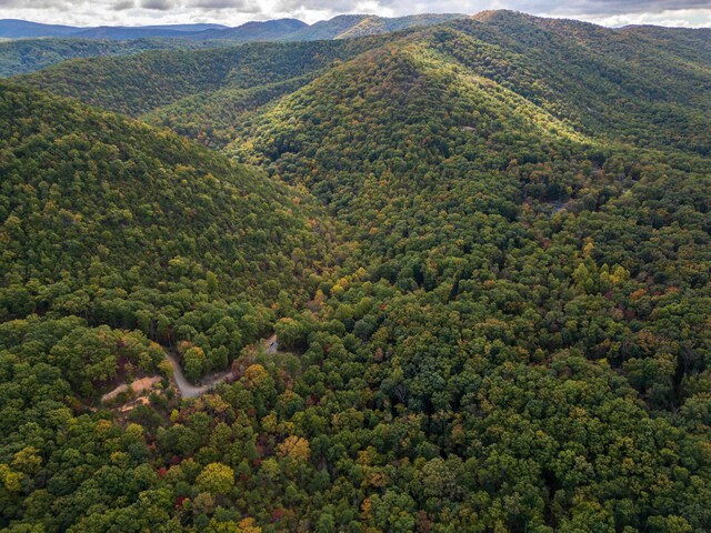 LOT14 Wildwood Ln, Shenandoah, VA 22849 - photo 15