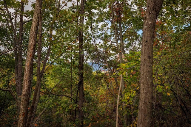 LOT14 Wildwood Ln, Shenandoah, VA 22849 - photo 11