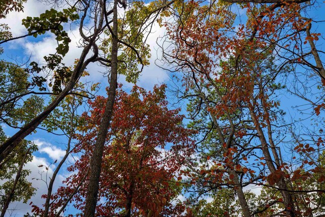 LOT14 Wildwood Ln, Shenandoah, VA 22849 - photo 12