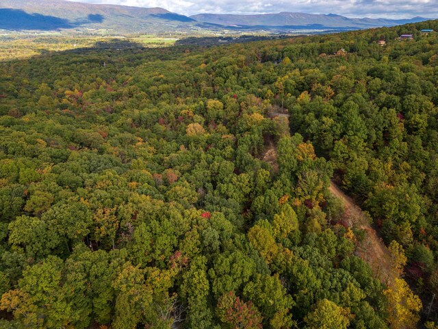 LOT14 Wildwood Ln, Shenandoah, VA 22849 - photo 16