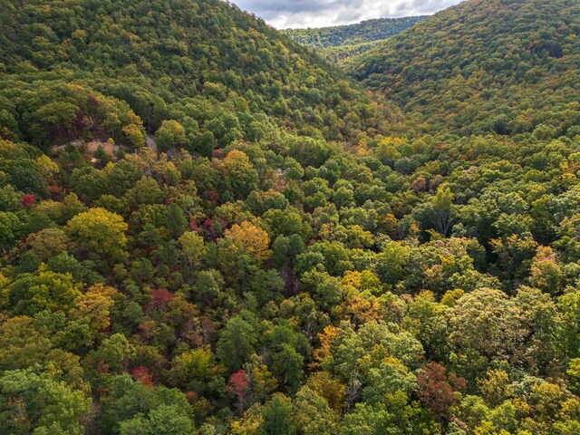 LOT14 Wildwood Ln, Shenandoah, VA 22849 - photo 17