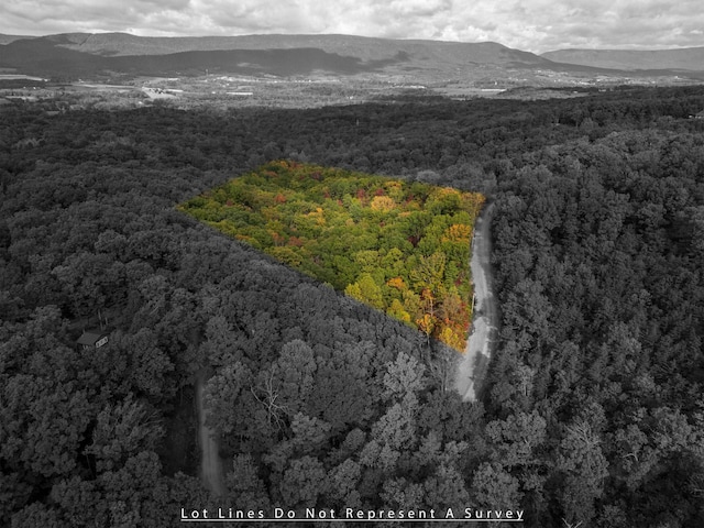 LOT14 Wildwood Ln, Shenandoah, VA 22849 - photo 2