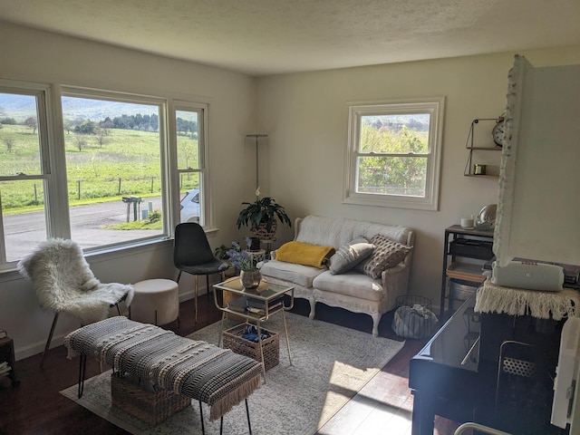 271 Quail Ln, New Market, VA 22844 - living room featuring healthy amount of natural light, wood finished floors, and baseboards