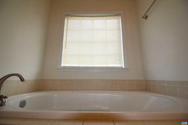 10 Lady Slipper Dr, Waynesboro, VA 22980 - bathroom with a garden tub and healthy amount of natural light
