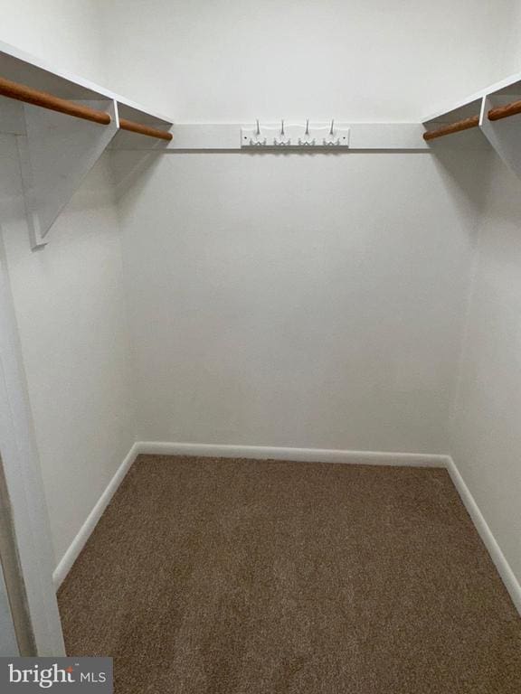 16 Park Ave, Luray, VA 22835 - spacious closet with carpet