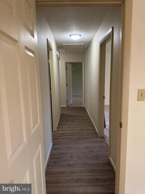 16 Park Ave, Luray, VA 22835 - corridor featuring dark wood-type flooring, attic access, and a textured ceiling