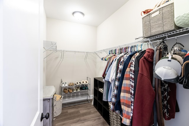 141 Tomasville Dr, Waynesboro, VA 22980 - spacious closet featuring wood finished floors