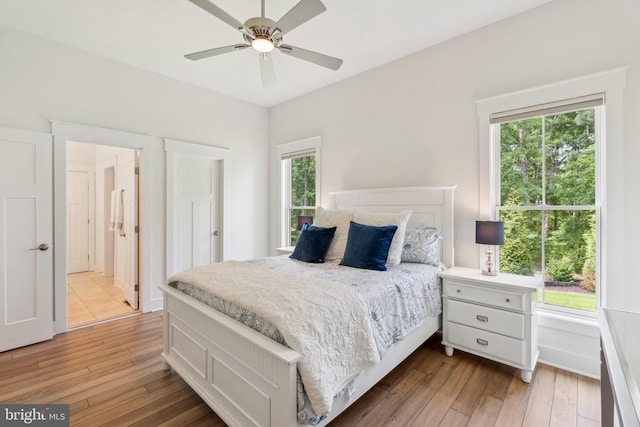 11206 Preswick Ln, Spotsylvania, VA 22551 - bedroom with light wood finished floors, multiple windows, a ceiling fan, and baseboards