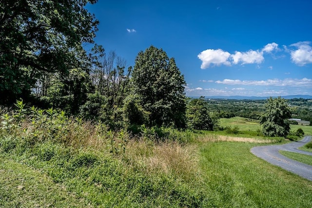 0 Rodeo Dr, Rockingham, VA 22802 - photo 3