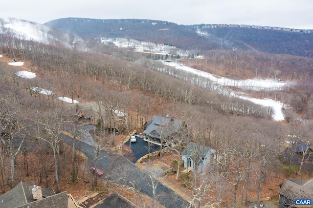 100 N Rock Tree Ln, Wintergreen Resort, VA 22967 - aerial overview of property's location with a mountain backdrop
