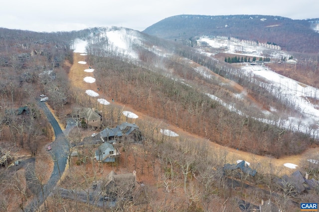 100 N Rock Tree Ln, Wintergreen Resort, VA 22967 - aerial view of property's location with mountains