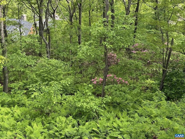 100 N Rock Tree Ln, Wintergreen Resort, VA 22967 - view of tree filled area