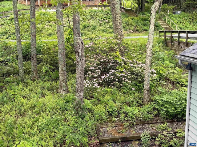 100 N Rock Tree Ln, Wintergreen Resort, VA 22967 - view of yard