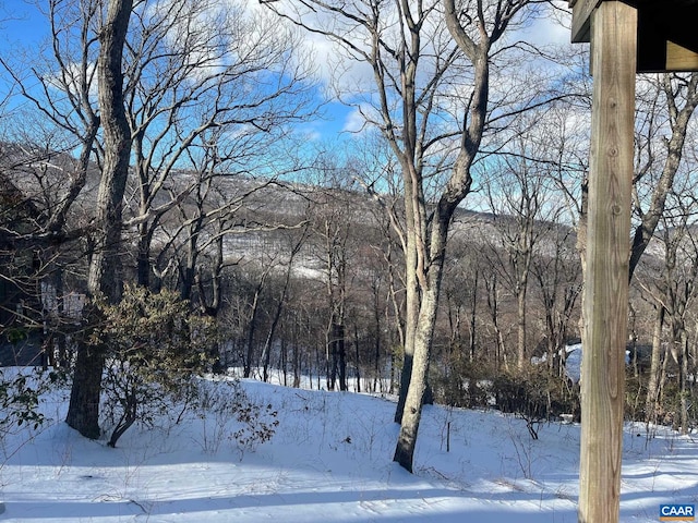 100 N Rock Tree Ln, Wintergreen Resort, VA 22967 - view of yard covered in snow