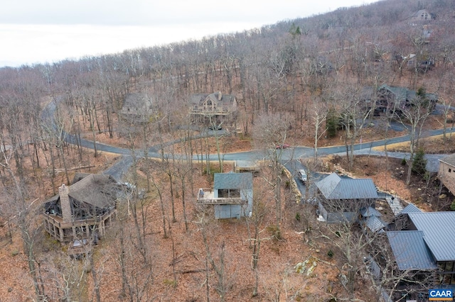 100 N Rock Tree Ln, Wintergreen Resort, VA 22967 - aerial view