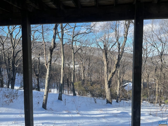 100 N Rock Tree Ln, Wintergreen Resort, VA 22967 - view of home's community