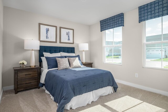 3 Courtyard Ter, New Market, VA 22844 - photo 12