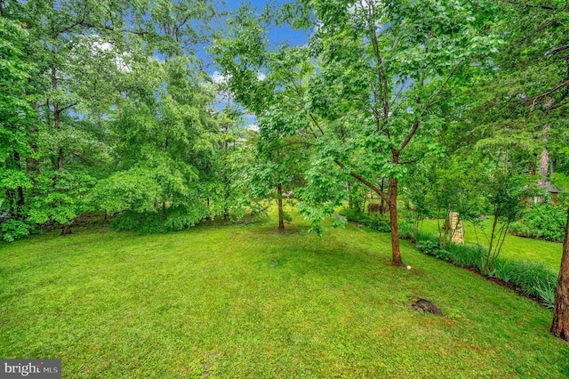 625 Yorktown Blvd, Locust Grove, VA 22508 - view of grassy yard