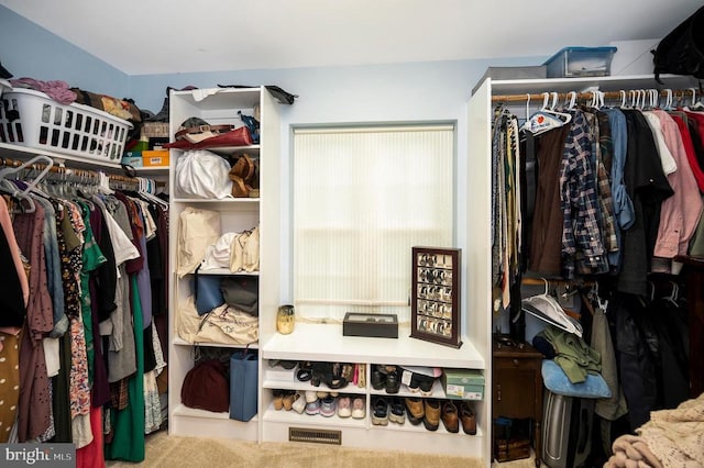 625 Yorktown Blvd, Locust Grove, VA 22508 - view of spacious closet