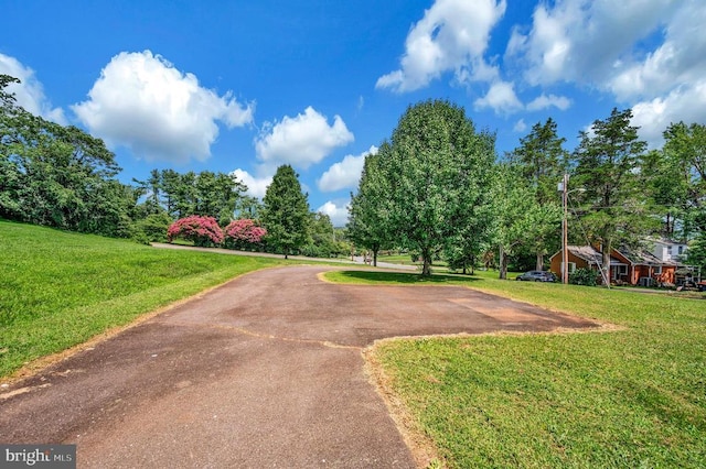 345 Mimosa Ln, Orange, VA 22960 - photo 22