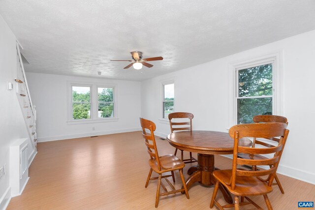 31 Beverley Ct, Staunton, VA 24401 - photo 8