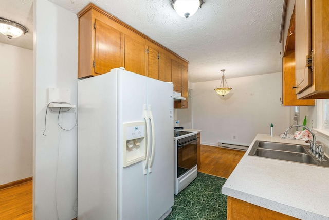 910 Carol Ave, Shenandoah, VA 22849 - photo 6