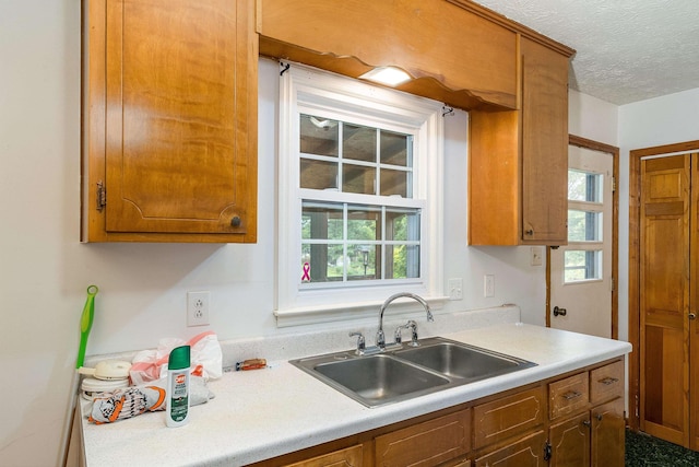 910 Carol Ave, Shenandoah, VA 22849 - photo 4