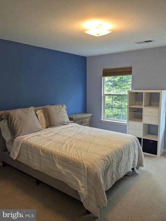 872 Woodcrest Loop, Culpeper, VA 22701 - photo 29