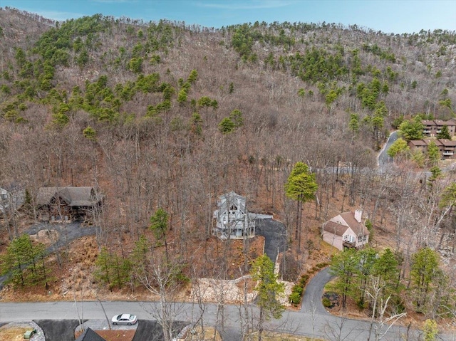 130 Rainier Rd, Mcgaheysville, VA 22840 - view of property location with mountains and a heavily wooded area