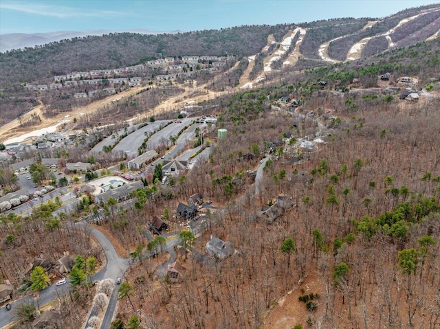 130 Rainier Rd, Mcgaheysville, VA 22840 - view of mountain background