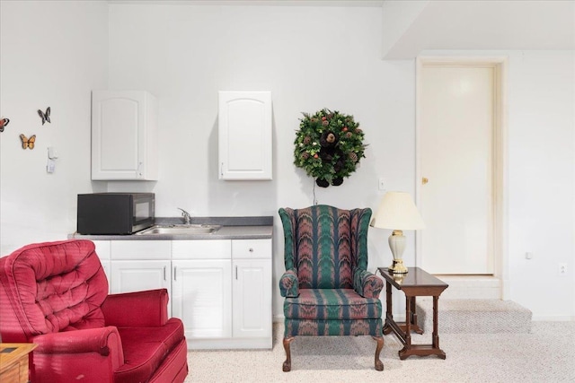 130 Rainier Rd, Mcgaheysville, VA 22840 - living area with carpet