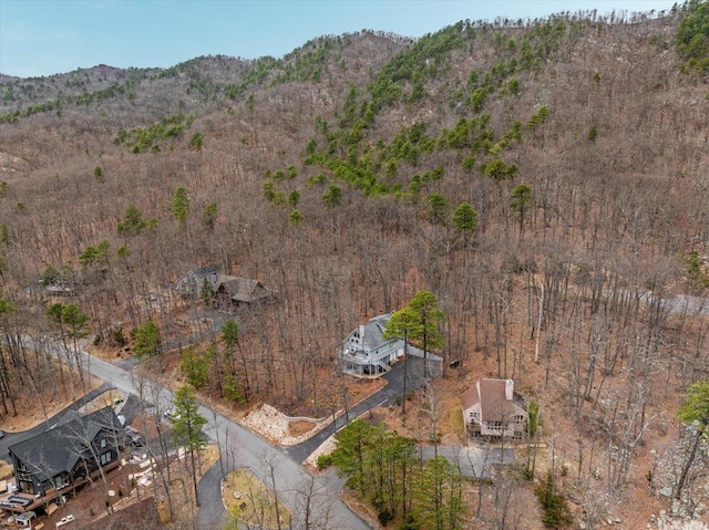 130 Rainier Rd, Mcgaheysville, VA 22840 - aerial view of property and surrounding area with a mountain backdrop