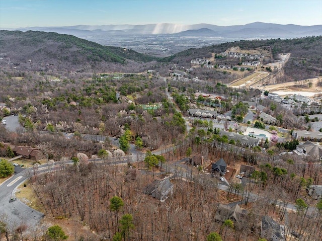 130 Rainier Rd, Mcgaheysville, VA 22840 - view of mountain background