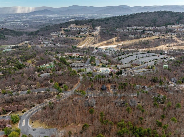 130 Rainier Rd, Mcgaheysville, VA 22840 - aerial view of property's location featuring a mountainous background