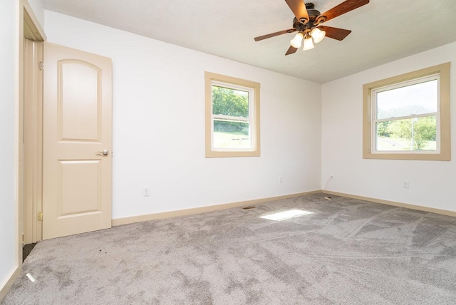192 Jackson Ave, New Market, VA 22844 - photo 26