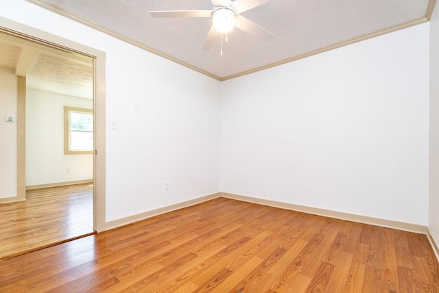 192 Jackson Ave, New Market, VA 22844 - photo 35